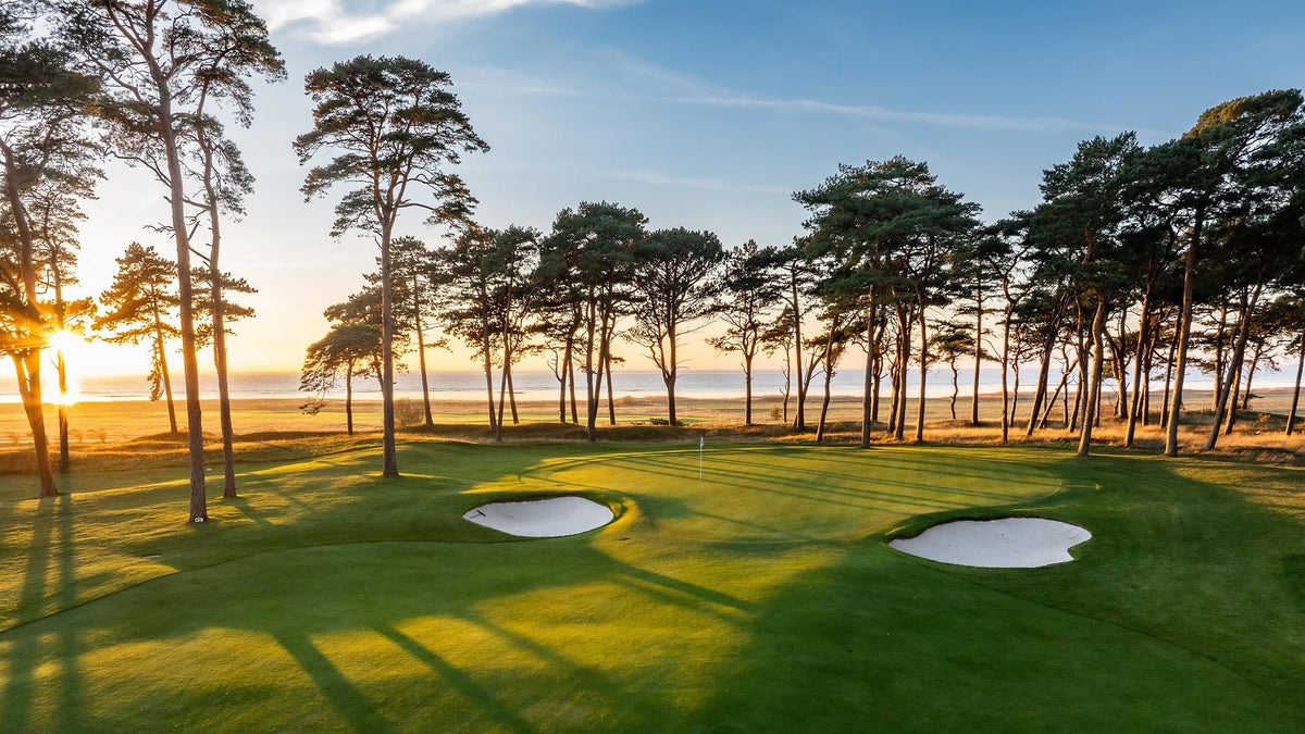 Golfgreen med två bunkrar och tallar i solnedgång vid havet