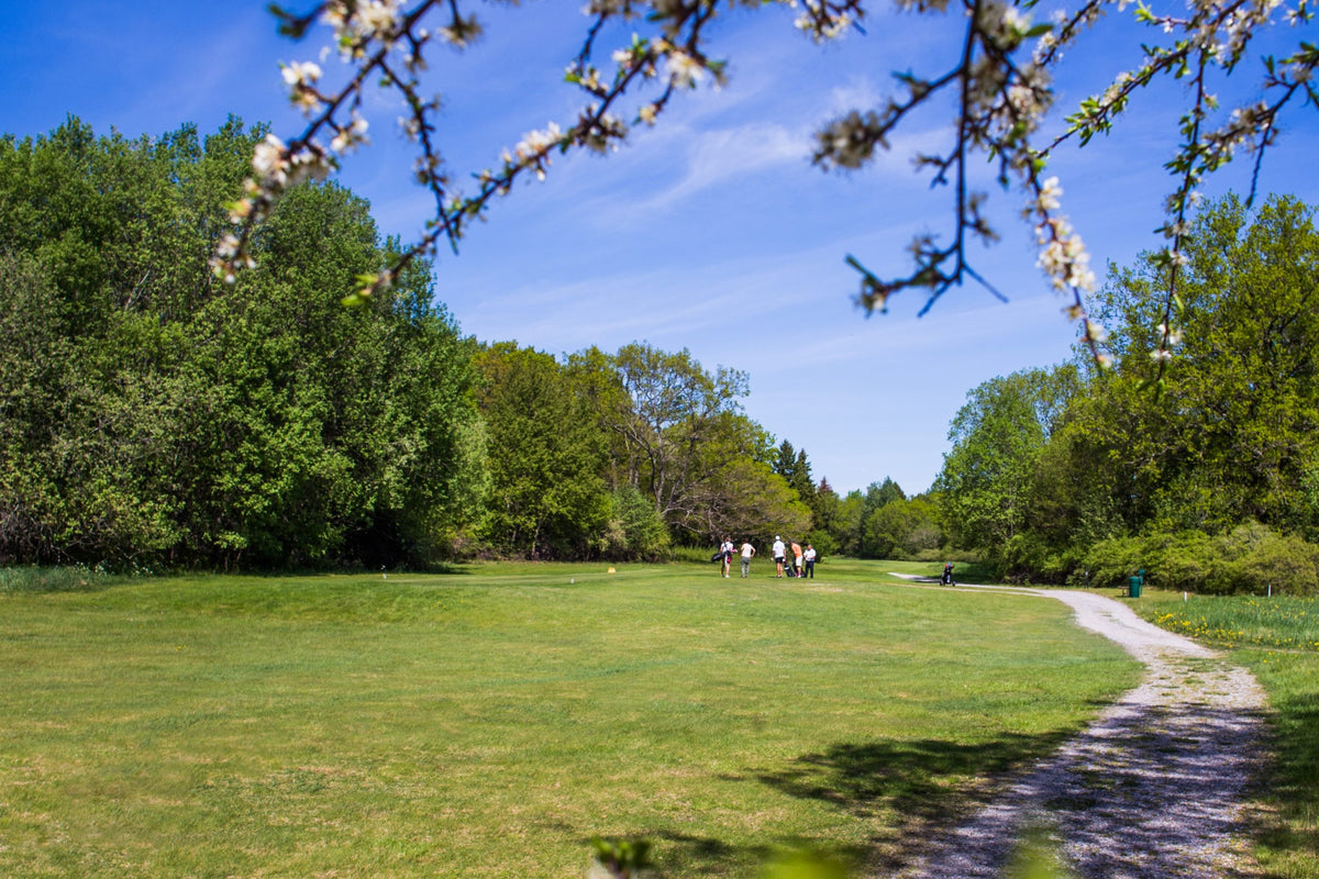 Ängsö GK – golfbana