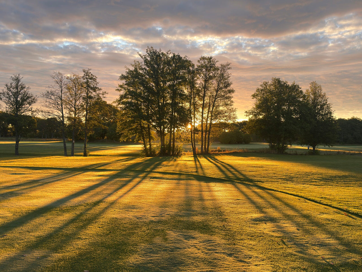 Ängsö GK – golfbana 2