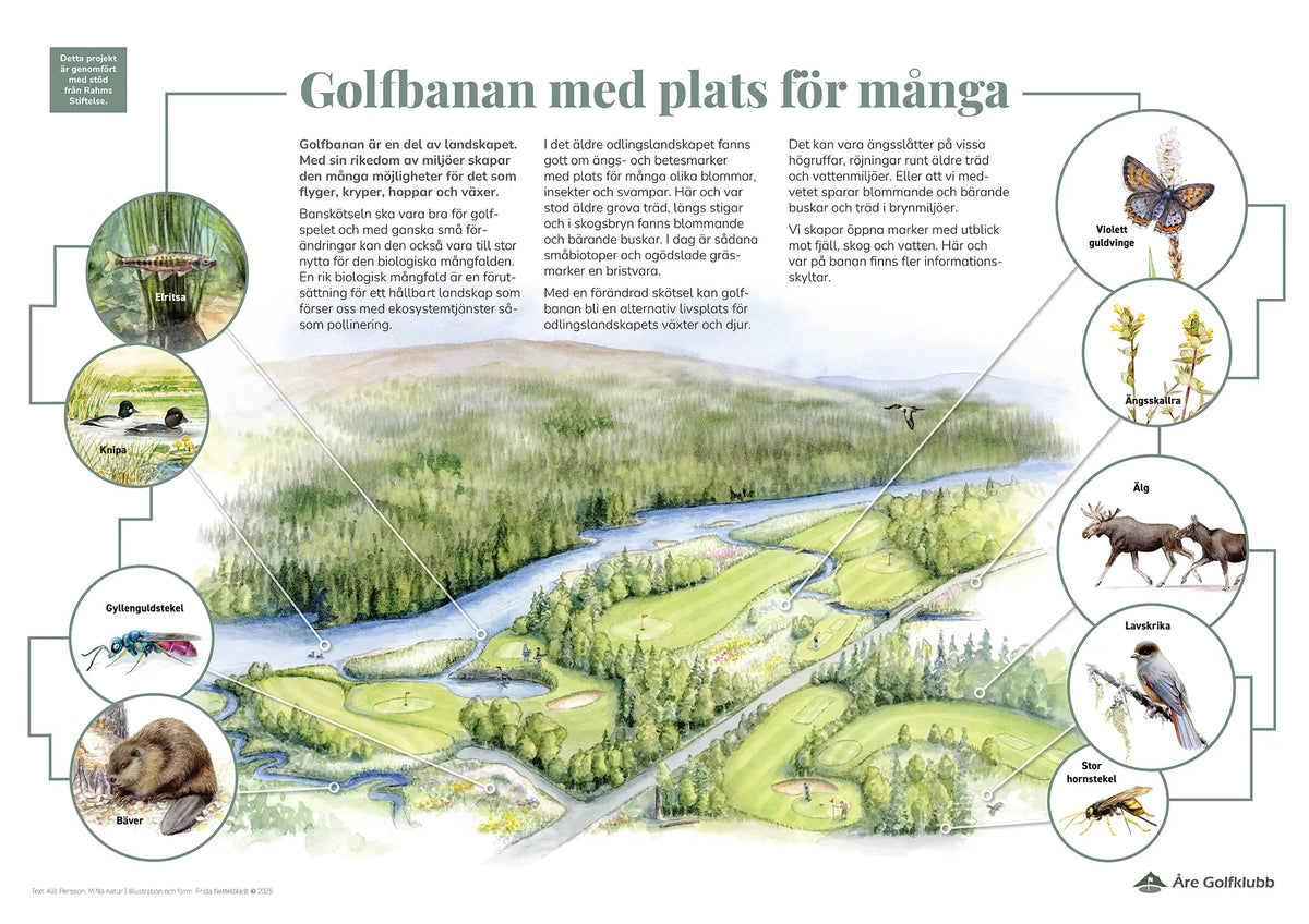 Åre GK – golfbana