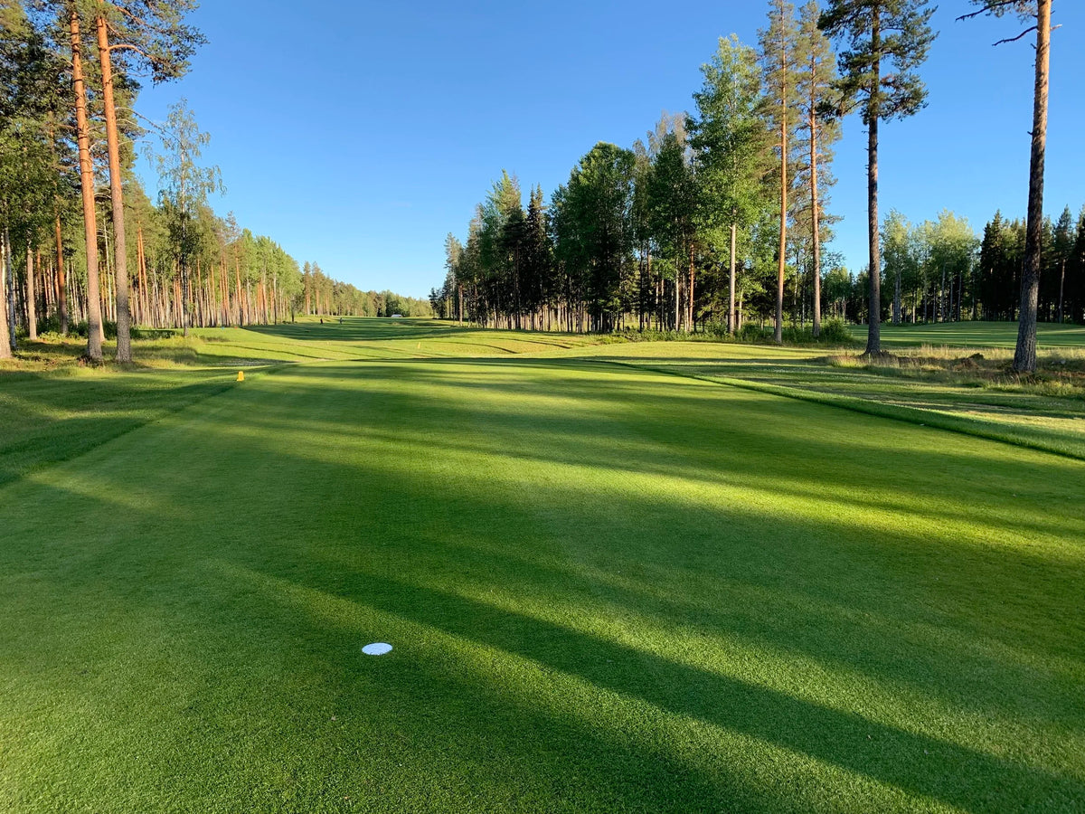 Bjurholms GK – golfbana