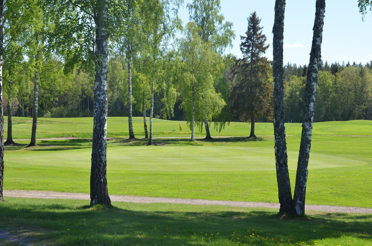 Dalsjö GK – golfbana