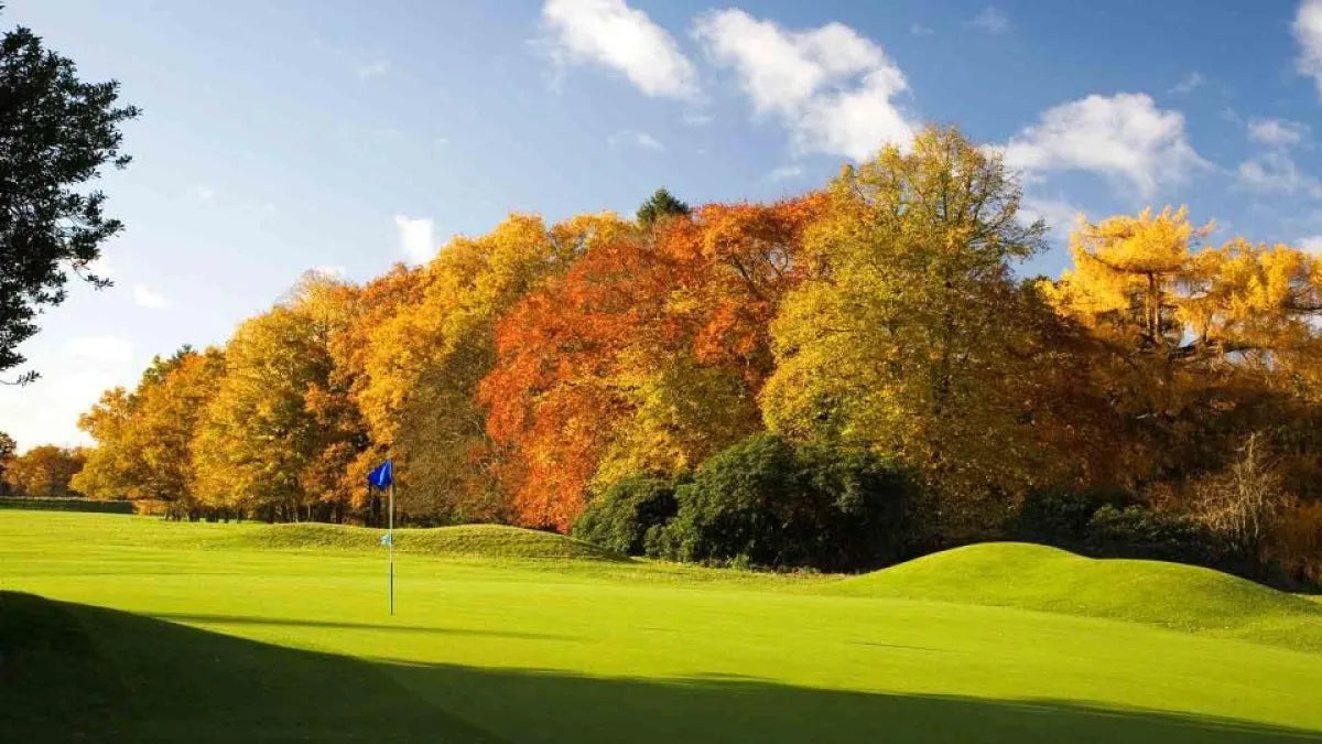 Fogdö GK – golfbana
