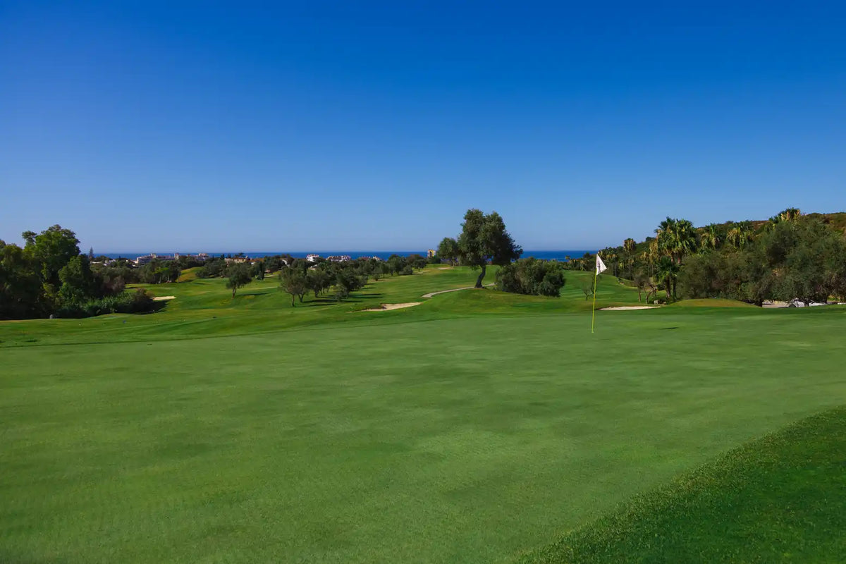 Golfservice Marbella – golfbana