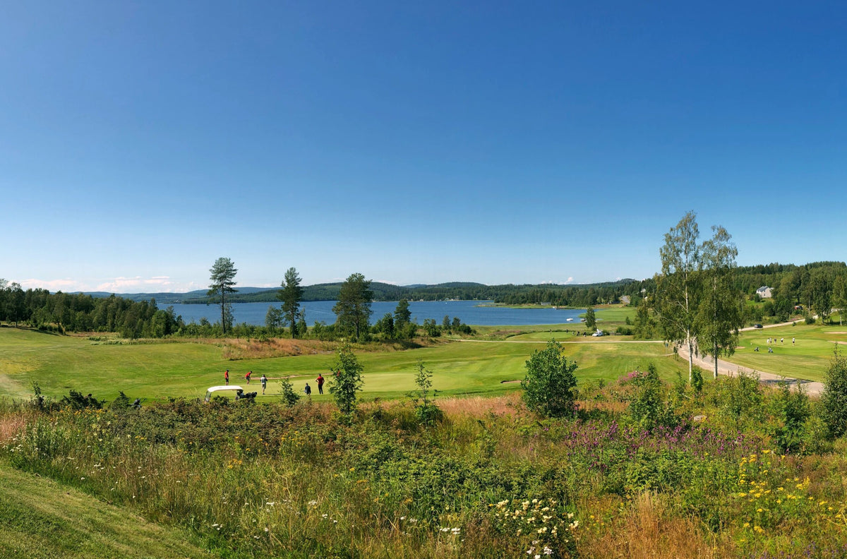 Härnösands GK – golfbana