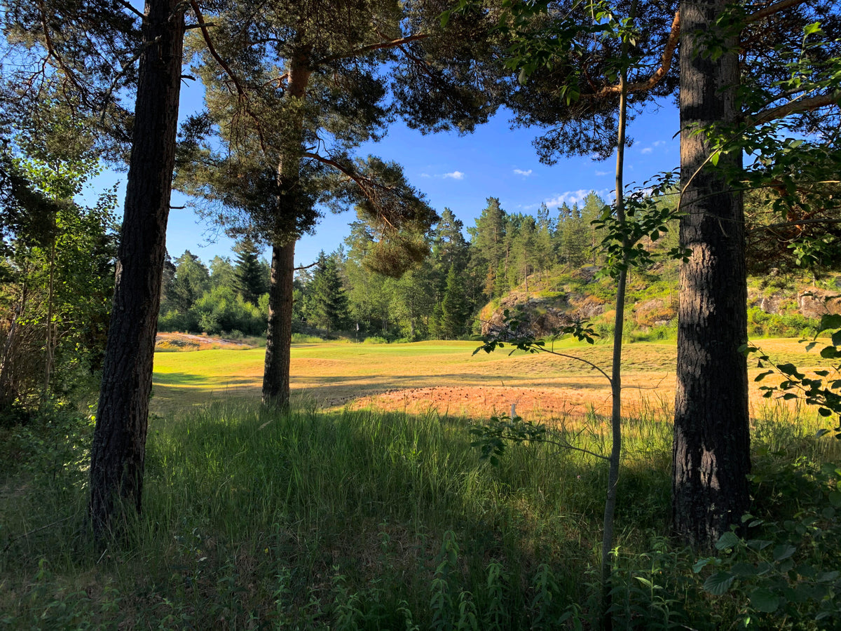 Ingarö GK – golfbana