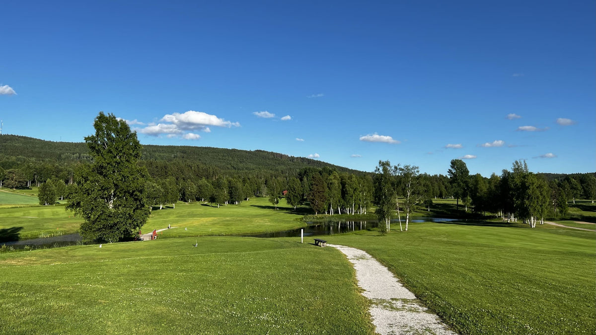 Leksands GK – golfbana 4
