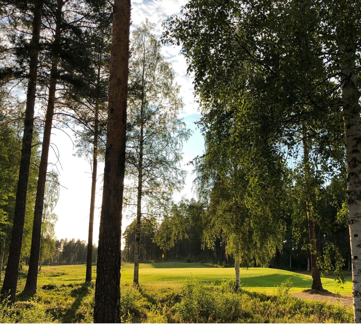 Lycksele GK – golfbana 2