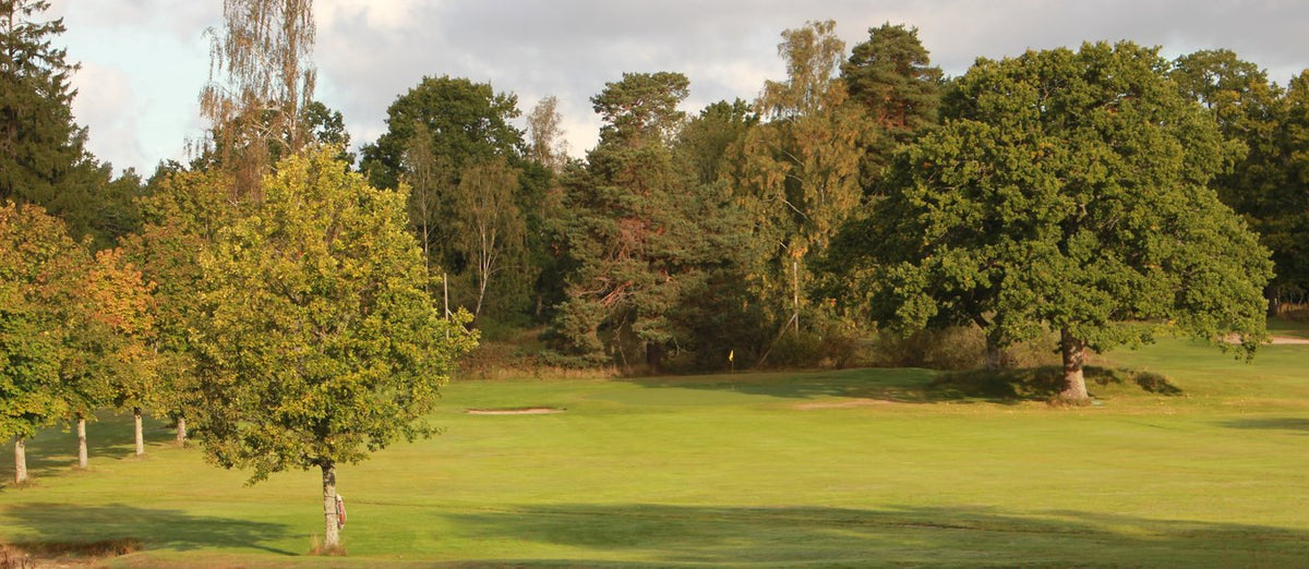 Lysingsbadets Golfbana – golfbana