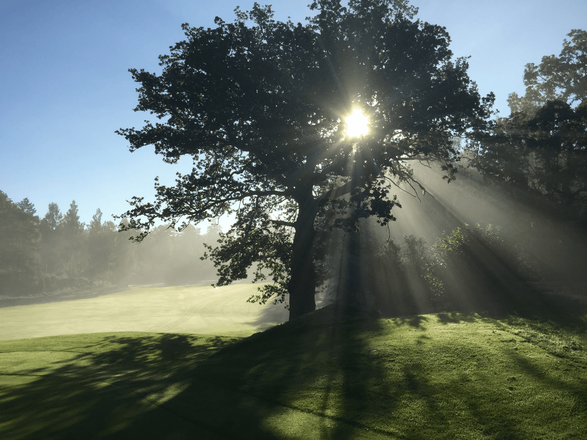Norrköping Söderköping Golfklubb – golfbana