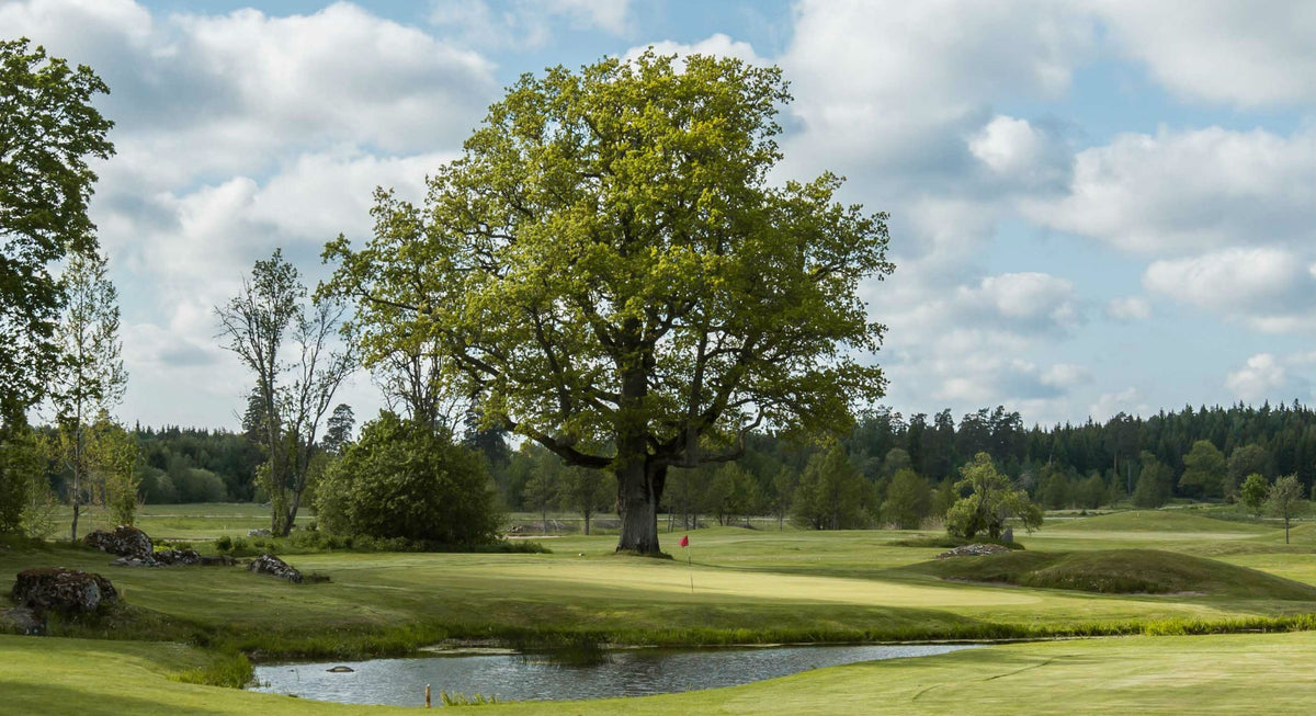 Örbyhus GK – golfbana