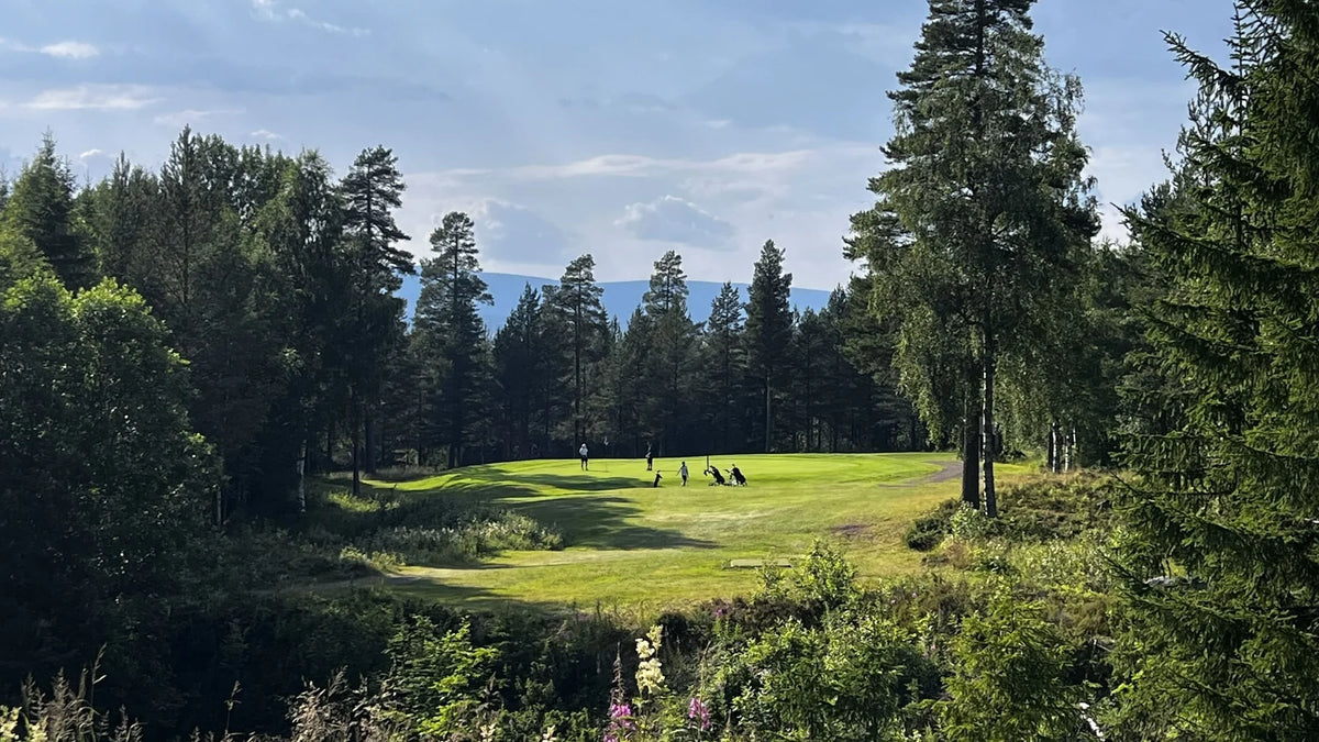 Sälenfjällens GK – golfbana