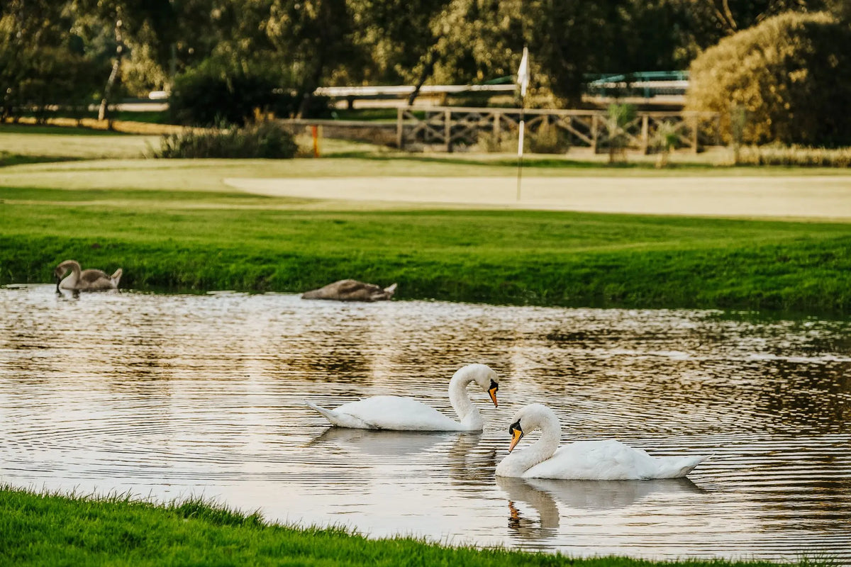 Sankt Jörgen Park Golf – golfbana