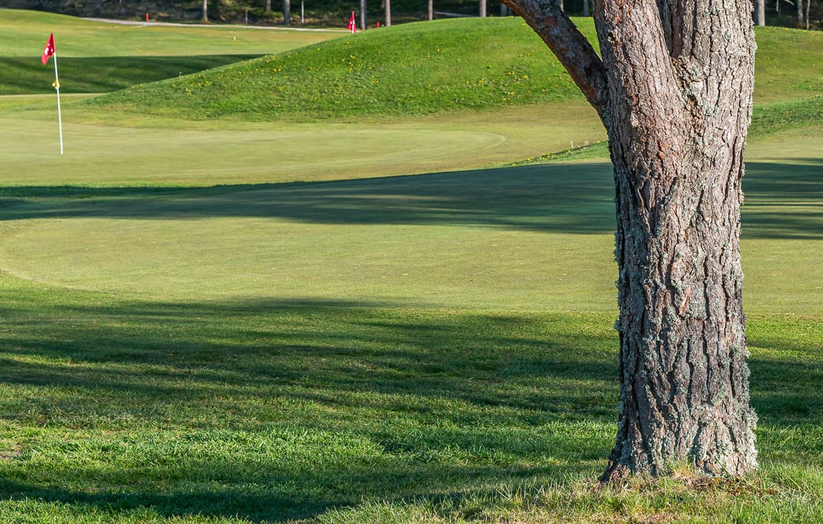 Sjögärde GK – golfbana 4