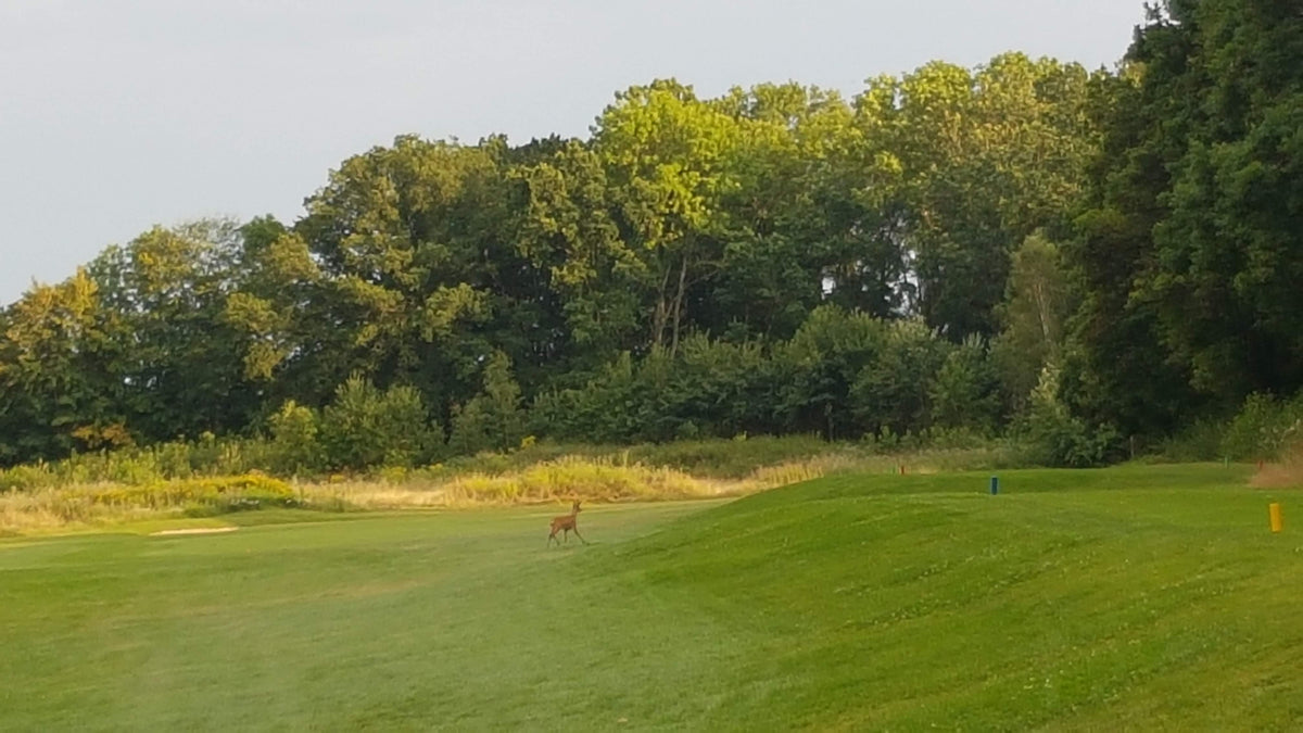 Skepparslövs GK – golfbana