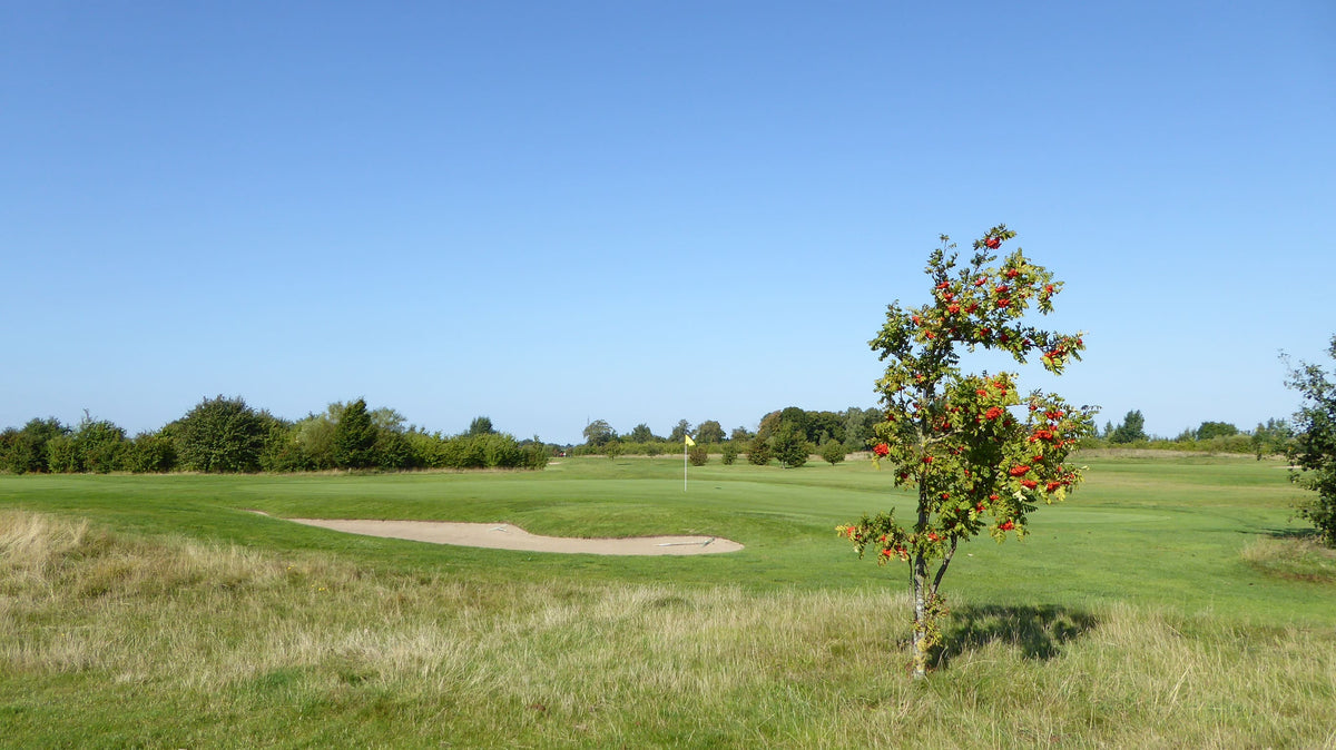 Söderslätts GK – golfbana 2