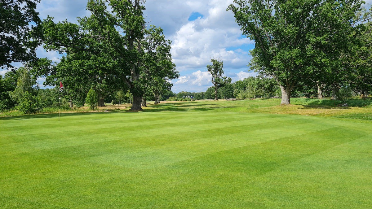 Uppvidinge GK – golfbana 2